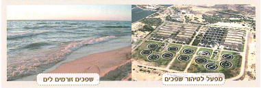 (בספר חמש תמונות, היעזר במנחה)